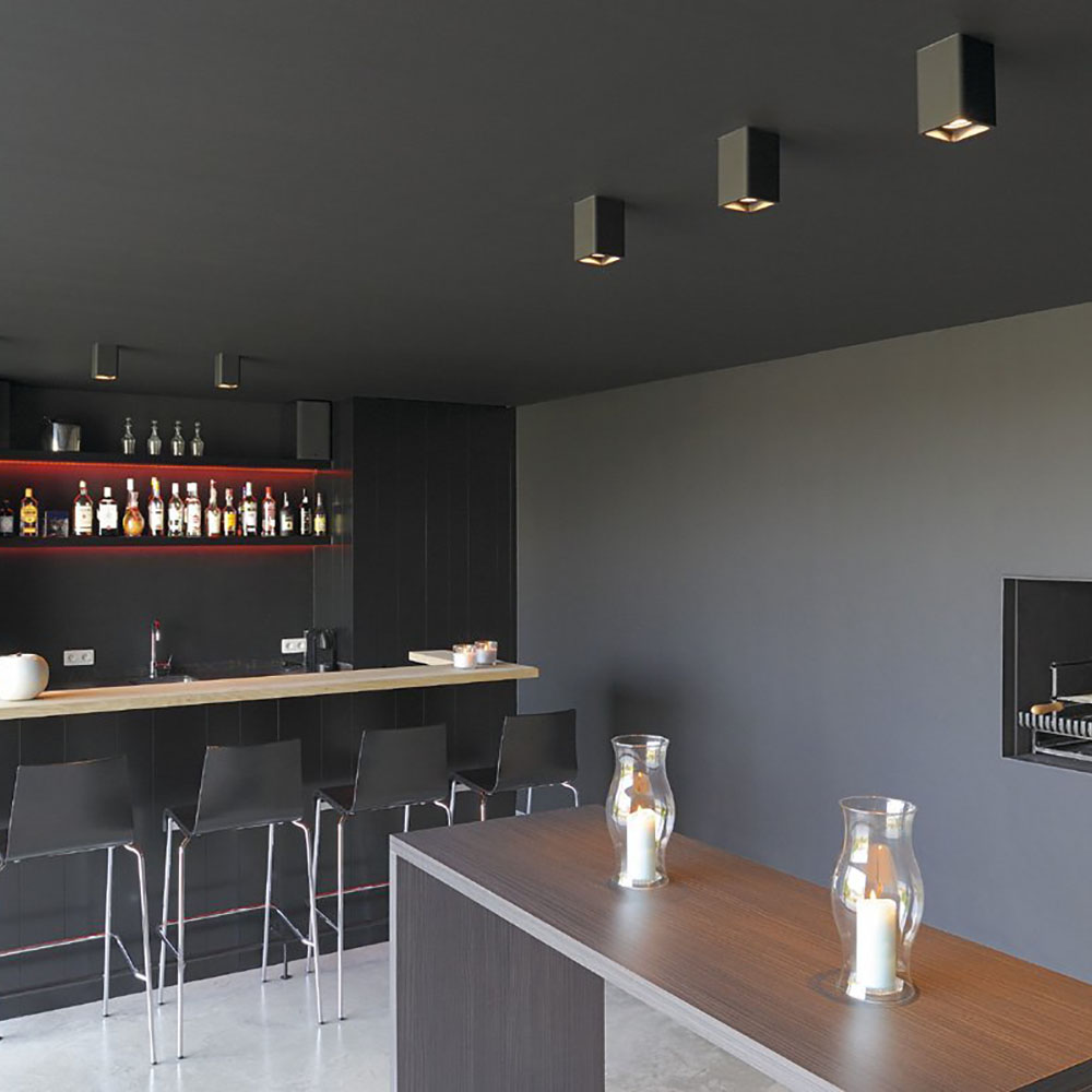 148004_plastra_plafonnier-_cl-1-_gu10-_max-_35w_slv_1