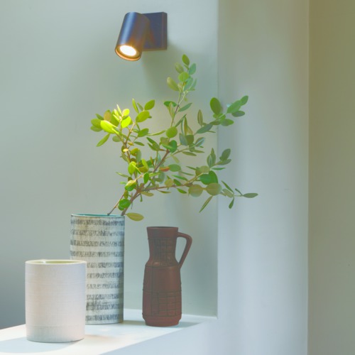 34952-ascolisingle-hannahsimmons