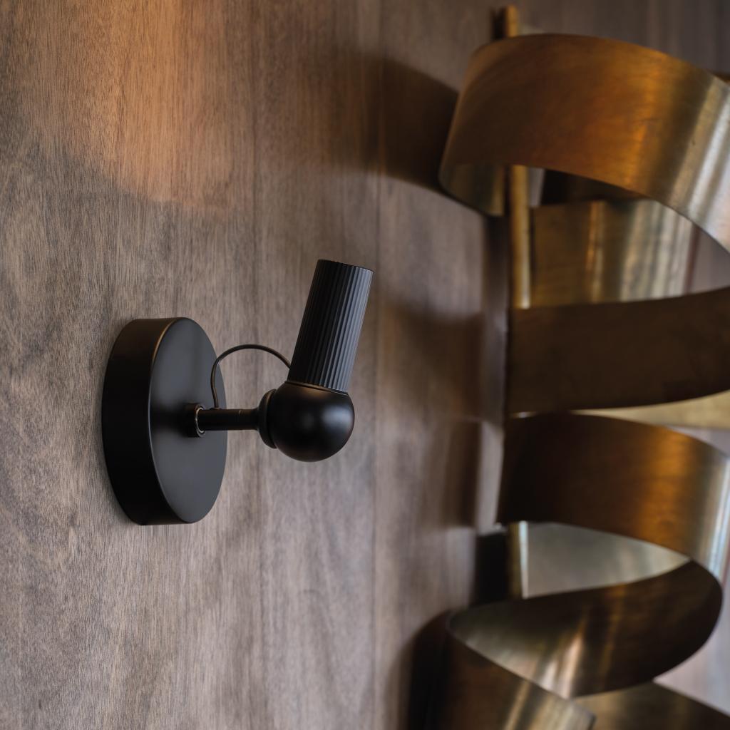 bird_ceiling_loc02_2