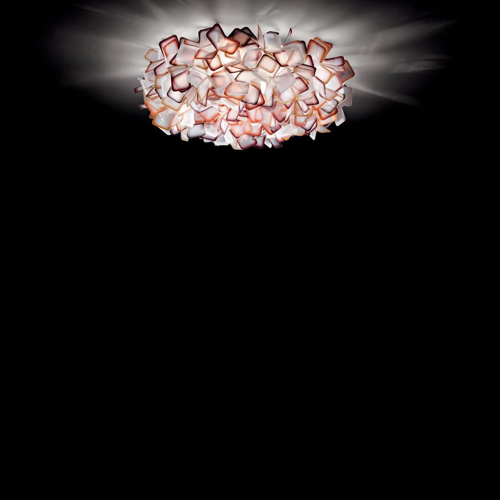 clizia-large-orange-emotional_slide