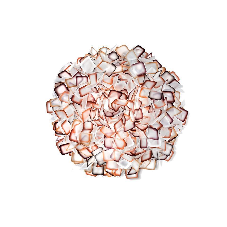 clizia-large-orange_still-life