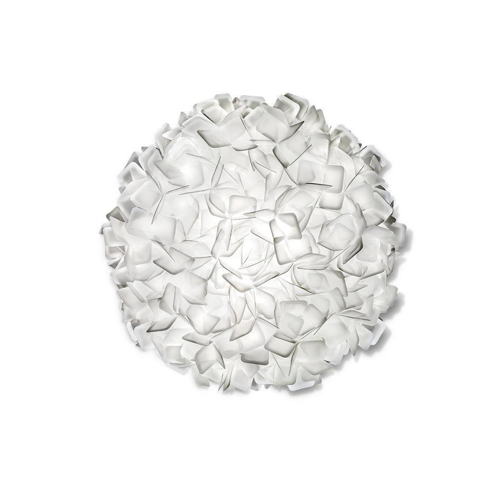 clizia-large-white_still-life