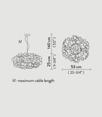 clizia-susp_outlines