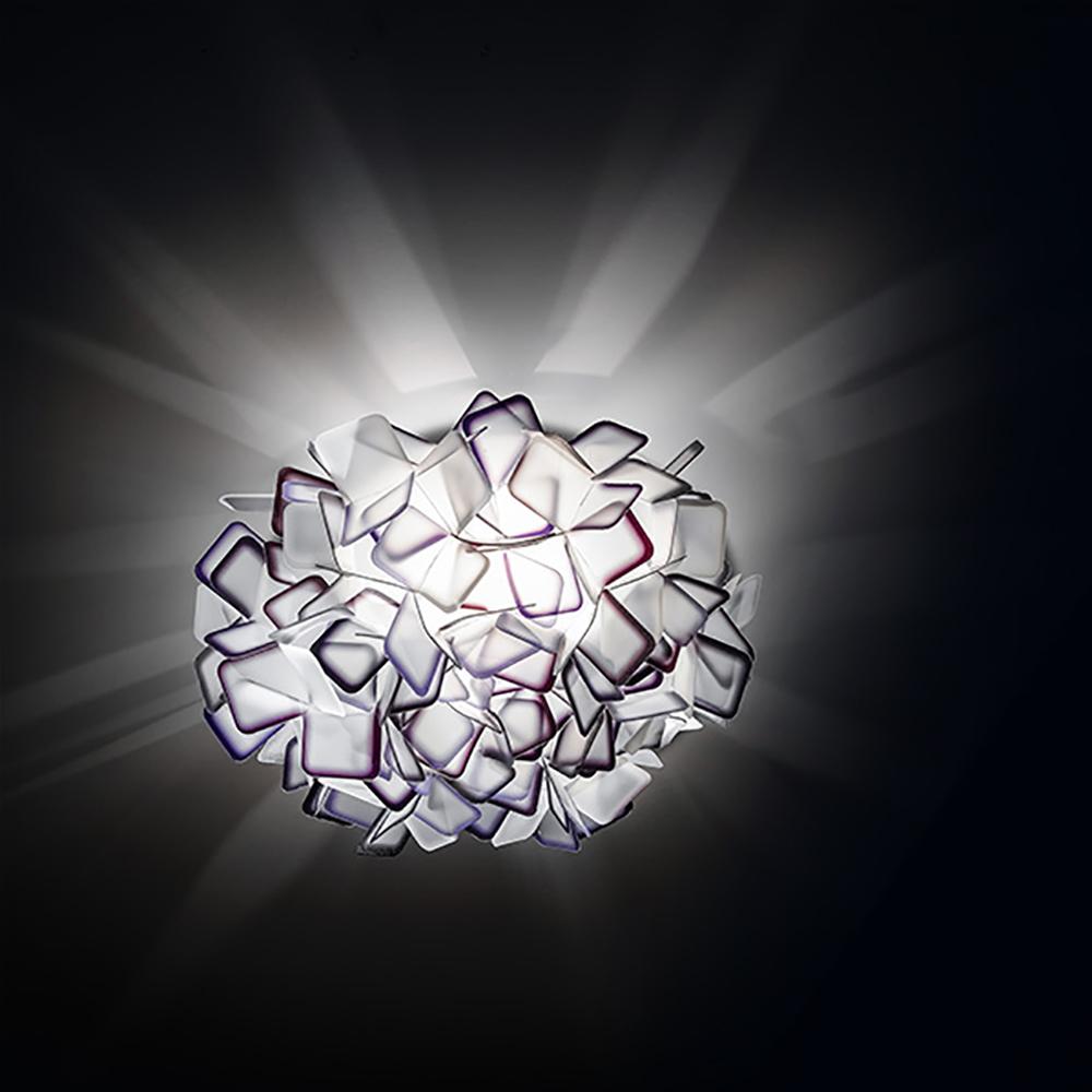 clizia_applique_purple_box_1