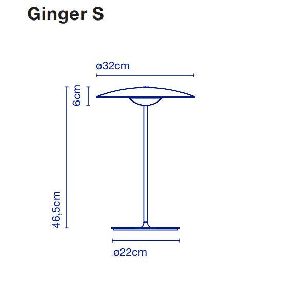 ginger_s