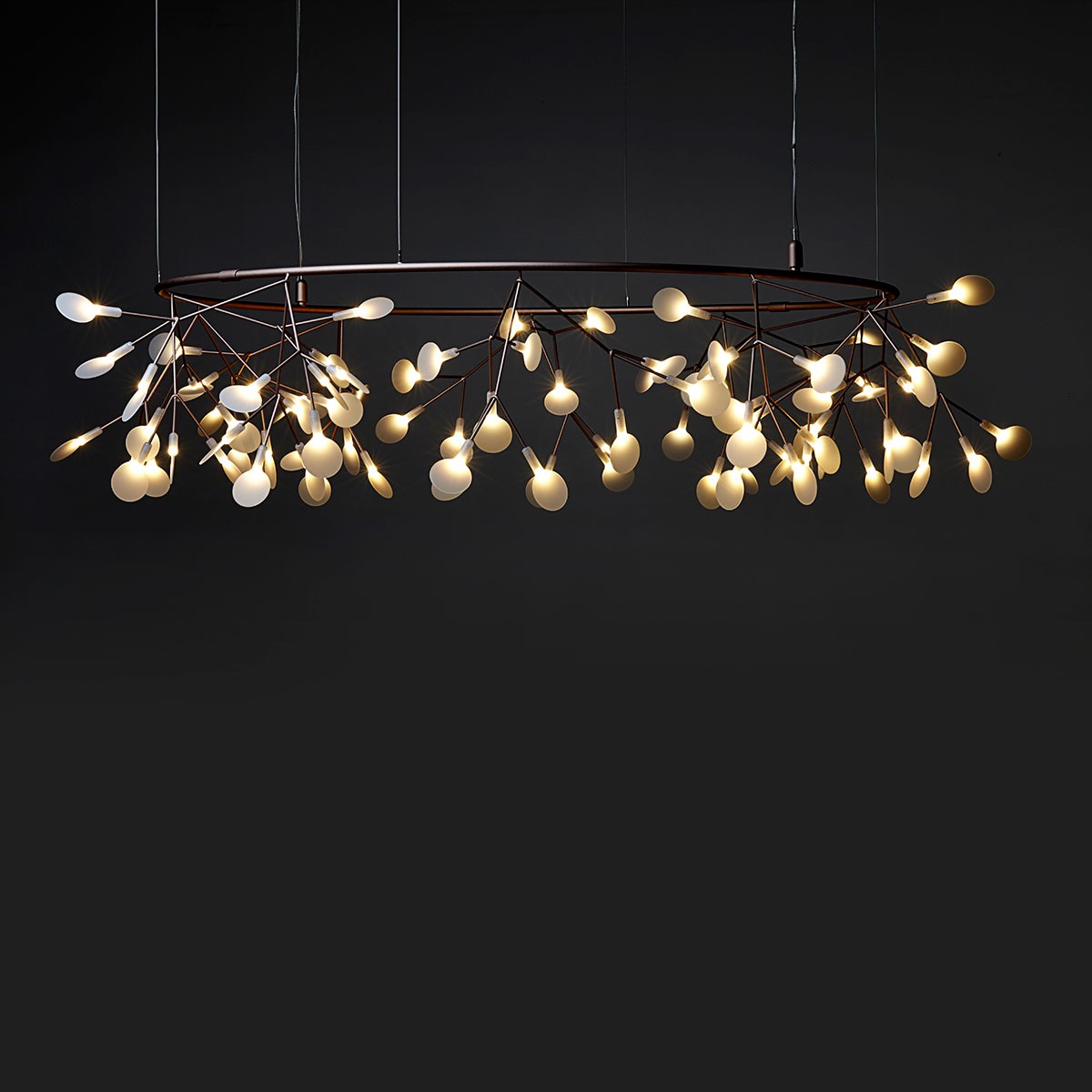 heracleum_small_big_o_5