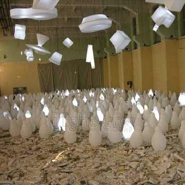 koko-slide-design-7_4