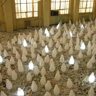 koko-slide-design-8_4