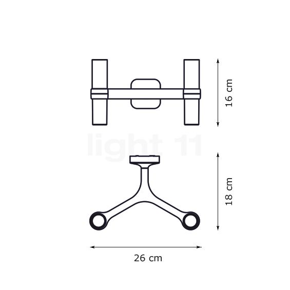 nemo_crown_2--11eafffad9bc1c7322fab94be17de0d9