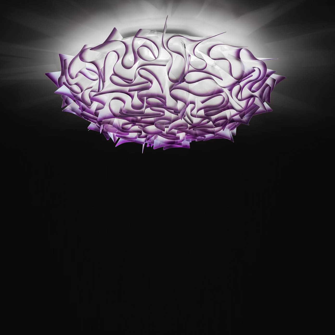 veli-large-plum-emotional_slide